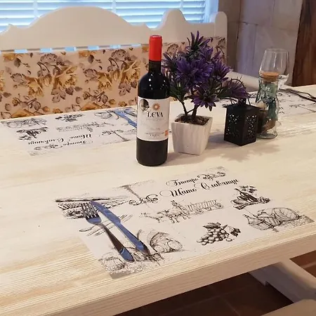 Appartamento Family Vintegra